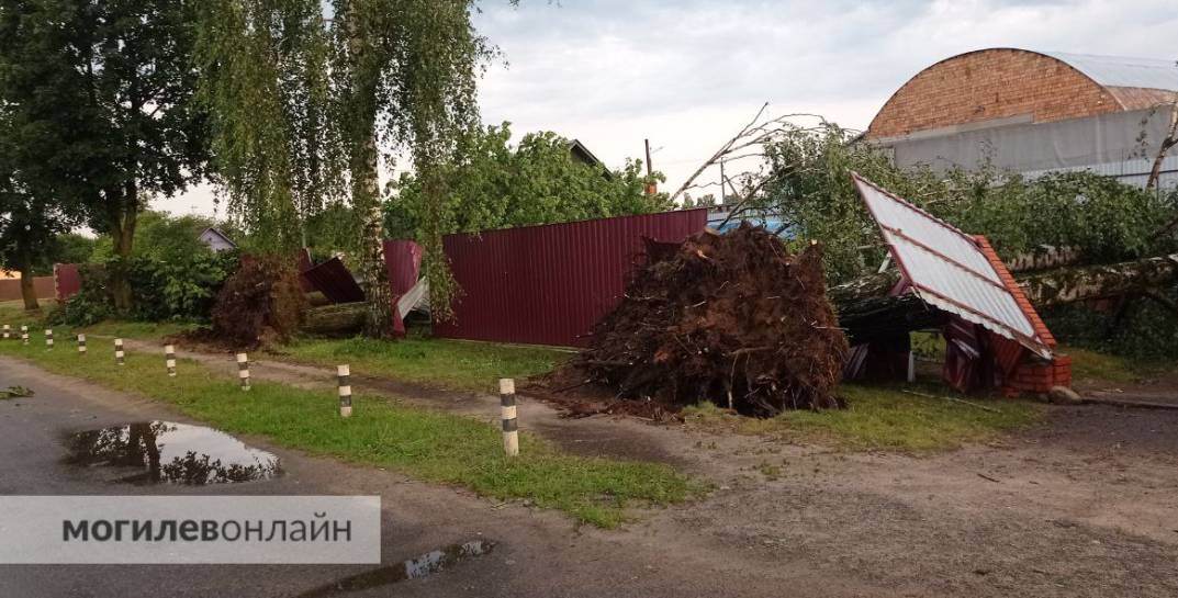 Мэр Могилева рассказал, как и кому будут выплачивать компенсацию за ущерб от урагана