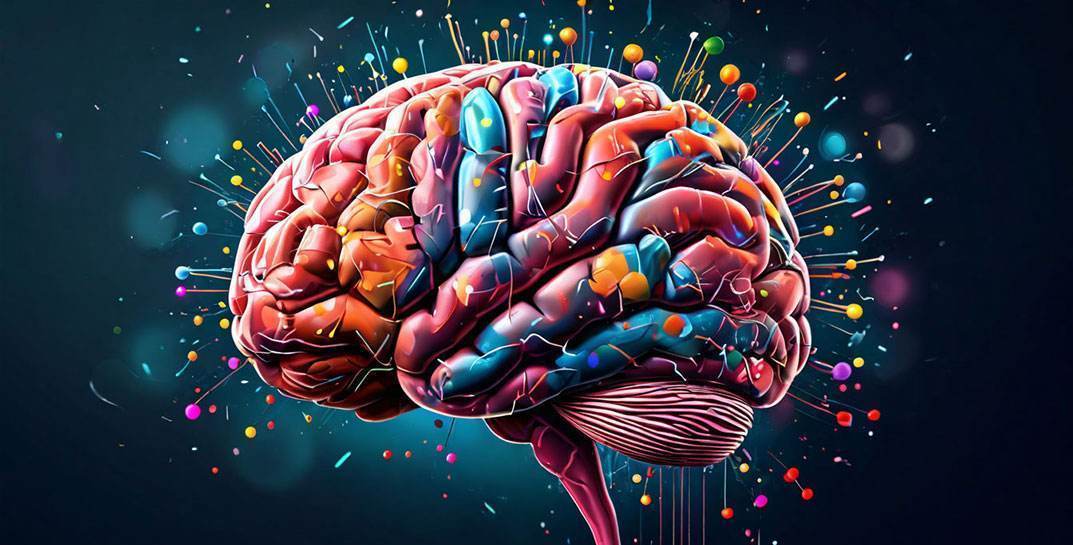 Хотите узнать, сколько лет вам осталось жить? В интернете набирает популярность система, которая способна определить это по одному снимку мозга