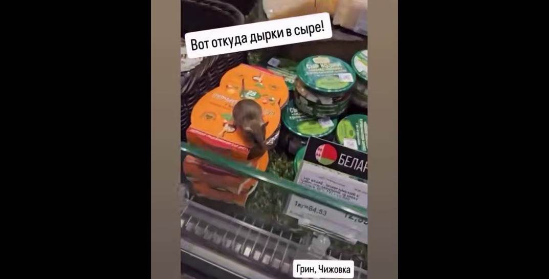 В минском магазине покупатели заметили крысу в отделе сыров. Что было дальше?