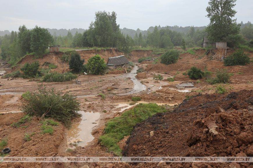 «Берег „уехал“ вместе с деревьями, сараями и дорогой». Что сейчас происходит в Витебске, где природа решила «скорректировать» ландшафт
