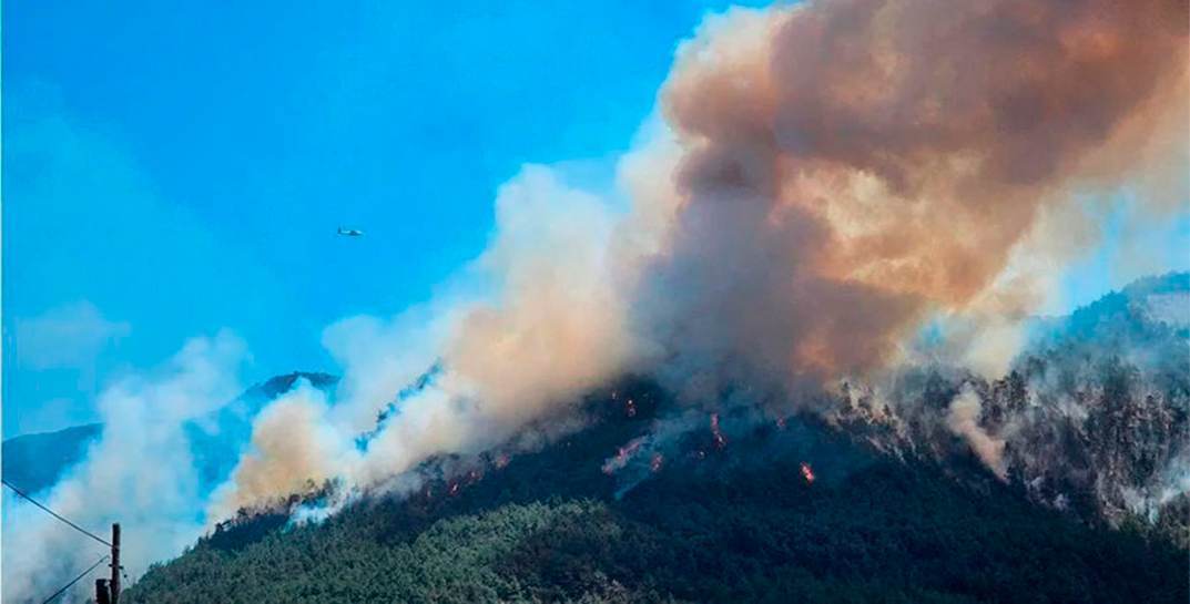 В Турции сейчас настоящий огненный апокалипсис — эвакуировали уже более тысячи человек. И это только начало