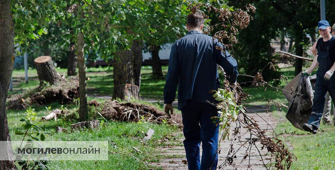 Три недели прошло с той ночи, когда ураган превратил улицы Могилева в месиво. Как сейчас выглядят разные районы города