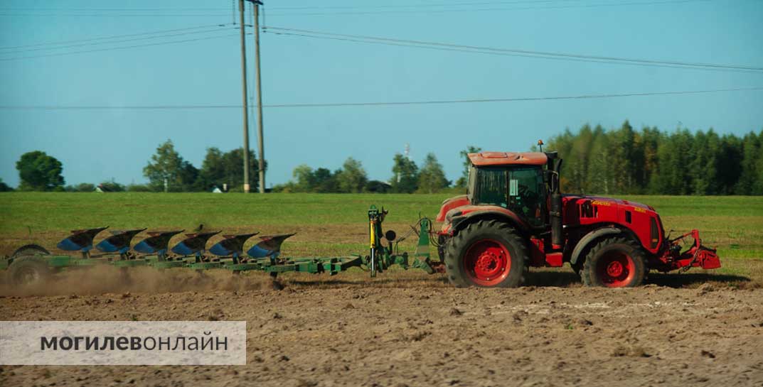 Сельхозработникам из Горецкого района платили зарплату меньше «минималки» и не оплачивали сверхурочные часы — помогла прокуратура