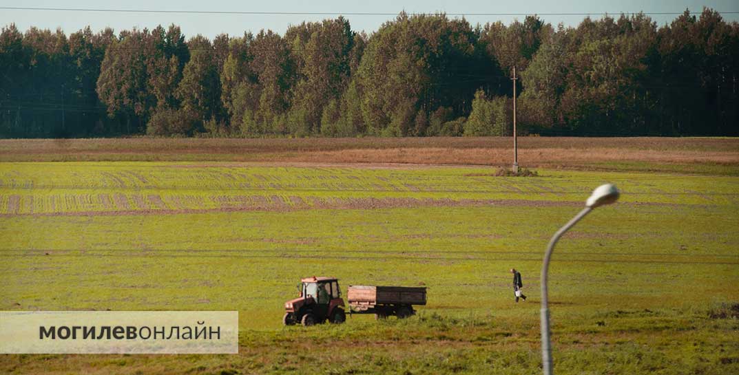 Предприниматели из Китая массово инвестируют в белорусское сельское хозяйство — особенное внимание они обратили на угодья Могилевщины