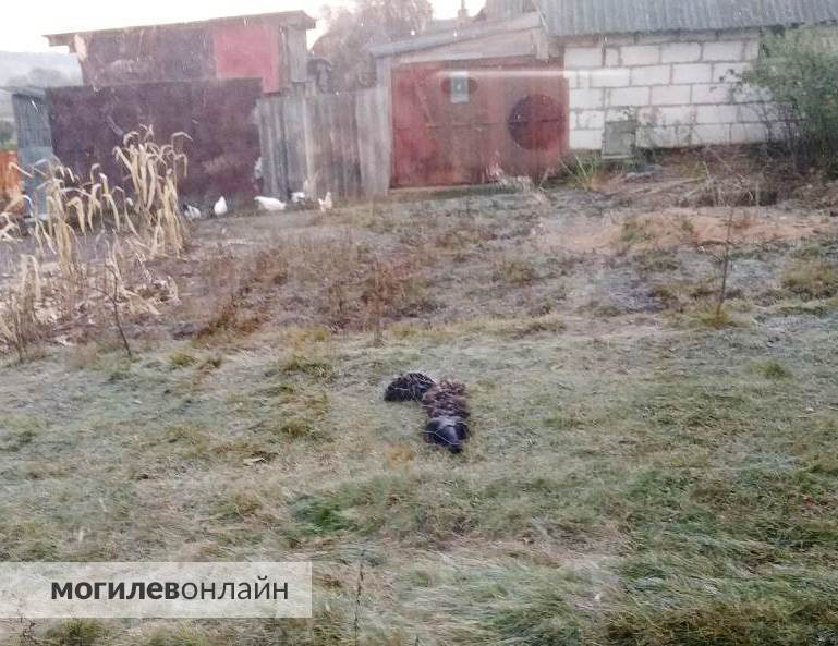 «В квартире этажом выше и дрались, и убивались, и устраивали оргии». Наши читатели рассказали, как непросто бывает ужиться с соседями и в какие истории можно вляпаться