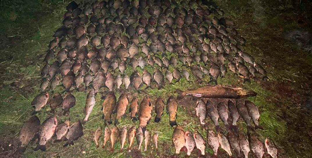 Белорус выловил сетями 207 рыб — теперь должен возместить почти 80 тысяч рублей ущерба природе