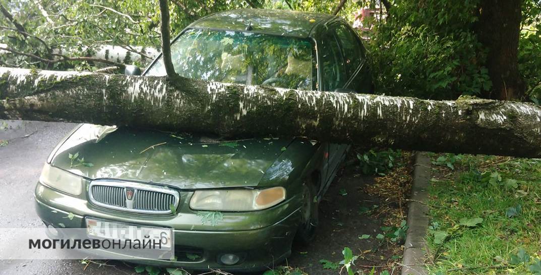 «Сотни поврежденных машин. Окна, балконы, крыши, заборы, на которые рухнули деревья». Уточнили в Белгосстрахе, кто получит выплаты по страховке