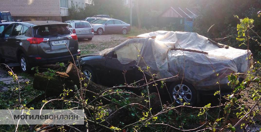 Продолжаем делиться могилевским «апокалипсисом» — собрали видео наших подписчиков