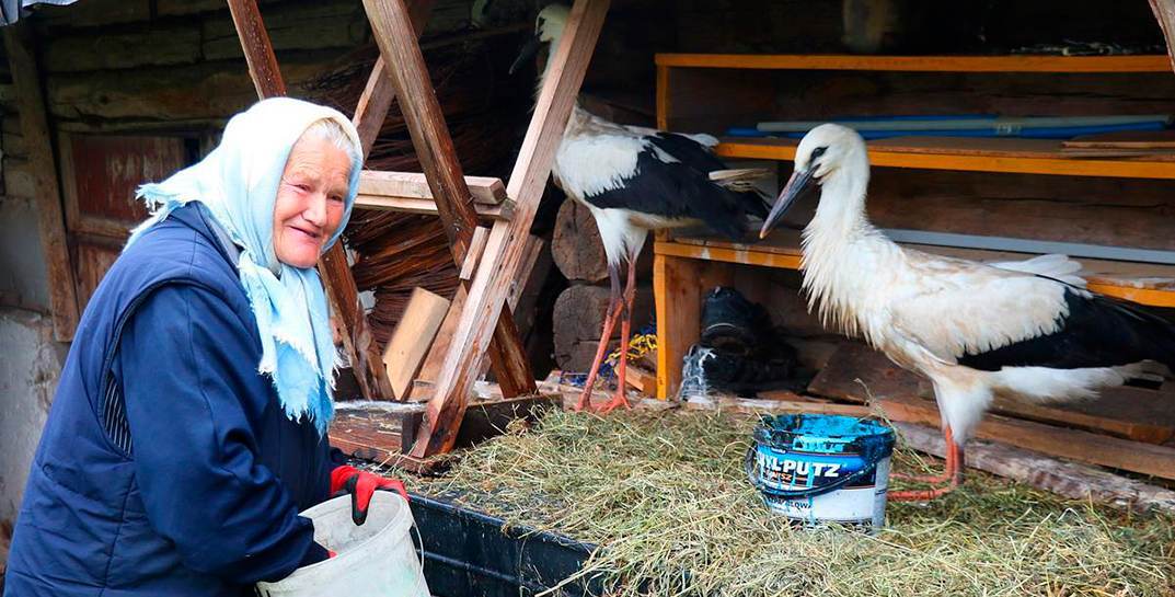 77-летняя бабушка Янина стала приемной мамой для аистят после урагана