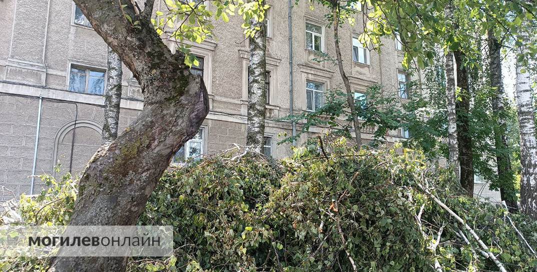 Все мы помним недавний ураган, который наворотил дел в Могилеве — показываем, как сейчас выглядит город и какие последствия еще не устранены