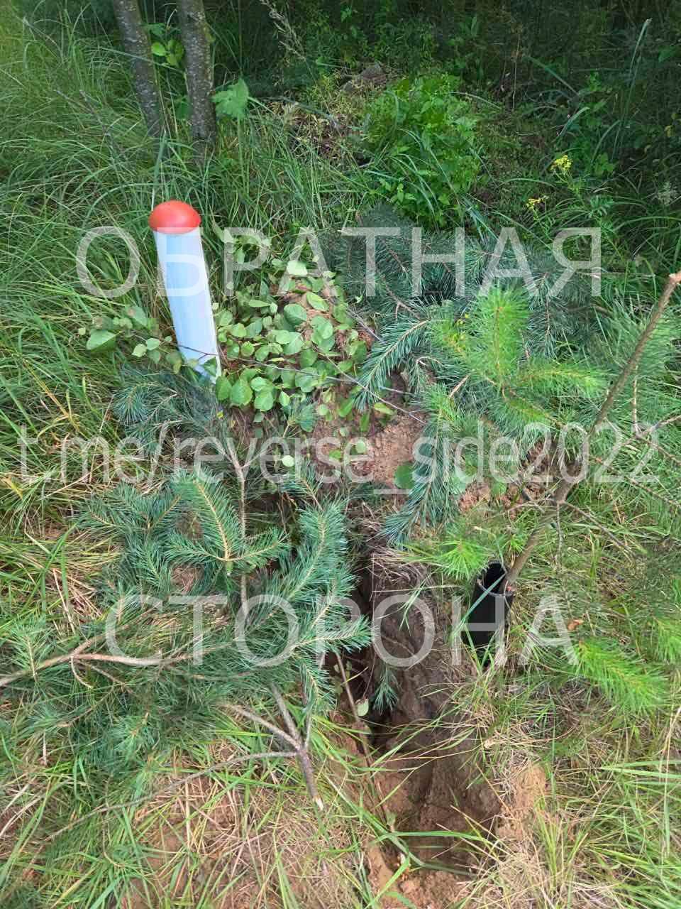 В Осиповичском районе мужчина чуть не остановил поезда, добывая металлолом