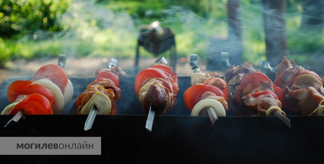 Программисты, подвиньтесь! Скоро в Китае начнут выпускать дипломированных шашлычных мастеров