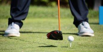 В США муха помогла гольфисту закатить мяч в лунку и выиграть 910 тысяч долларов