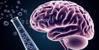 «Вводят через нос стволовые клетки». Белорусские врачи придумали, как восстановить пациента после инсульта