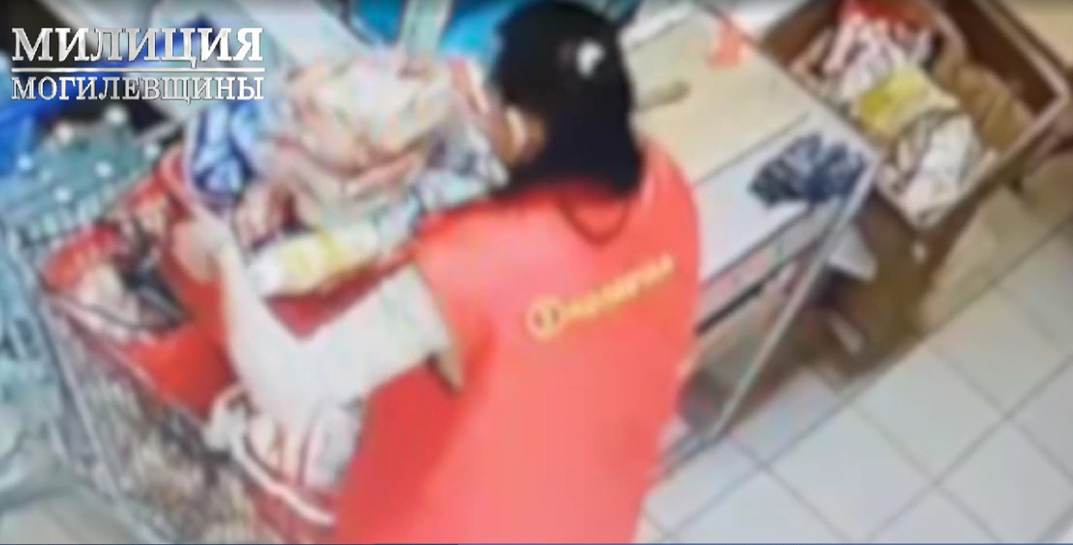 В Могилеве сотрудница «Копеечки» тележками воровала продукты из своего магазина