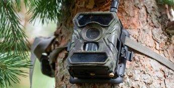 Более 400 правонарушений. Лесная охрана Могилева отчиталась, за что штрафовала жителей области с начала года