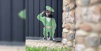 «Немца одели в советскую форму» — Видео со сторожевой собакой из Дзержинска собрало более 5 млн просмотров в TikTok