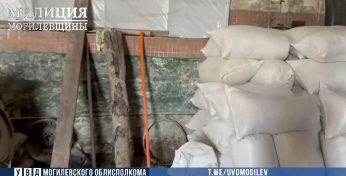 В Белыничах водитель за полгода вывез с работы 3 тонны комбикорма