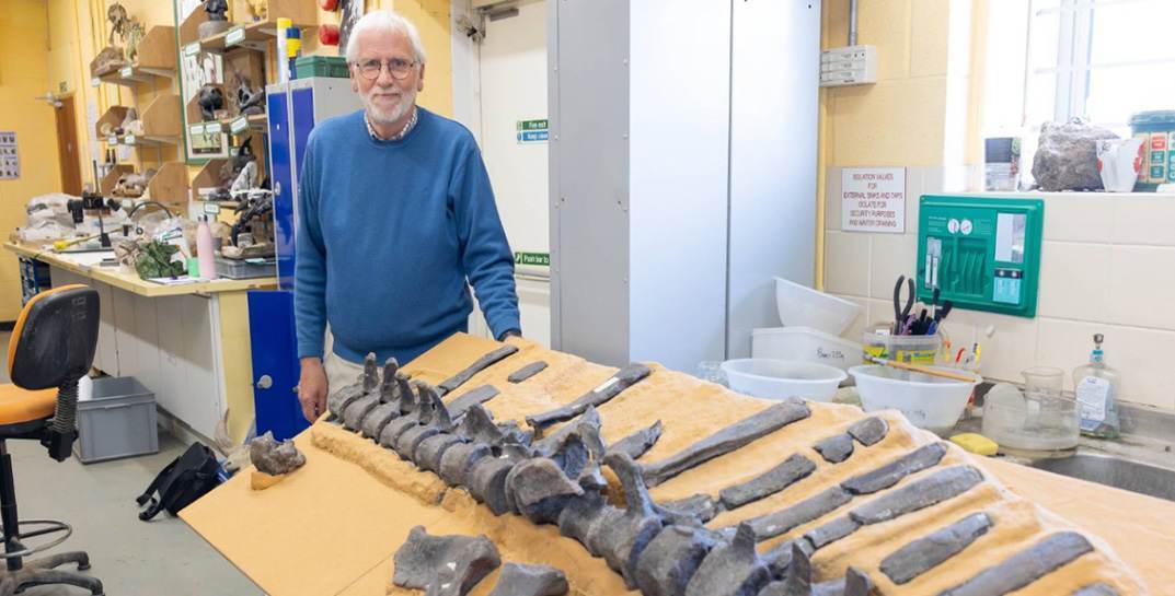 В Великобритании открыли нового «парусного» динозавра. Посмотрите, как он предположительно выглядел