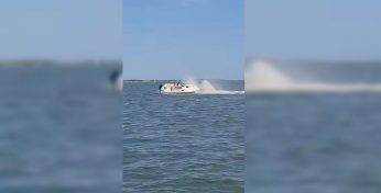 В США кит погиб после столкновения с прогулочной лодкой