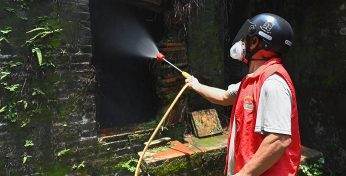 Более 7 тысяч случаев. В Китае зафиксировали вспышку вируса чикунгунья