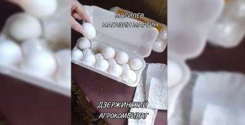 Могилевчанка показала в TikTok яйца с червями, купленные в одном из магазинов. Вот что ответил производитель