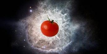 В Ивье решили отправить семена помидоров в космос. Зачем?