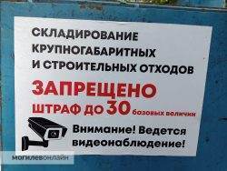 «Затеяли ремонт — возьмите контейнер в аренду!» Руководство САП дало большое интервью о критической ситуации на мусорках в Могилеве — читайте много интересного