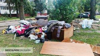 «Затеяли ремонт — возьмите контейнер в аренду!» Руководство САП дало большое интервью о критической ситуации на мусорках в Могилеве — читайте много интересного 