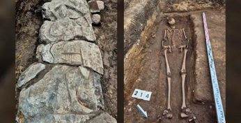 В Польше прямо под магазином мороженого обнаружили захороненный скелет 13-го века