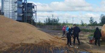 В Дрибинском районе 15 подростков работали в студотряде, а при увольнении не получили своих денег — помогла прокуратура