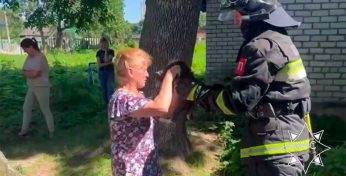 В Смолевичах маленькую кошечку спасли сотрудники МЧС — та провалилась в колодец. Посмотрите, как это было