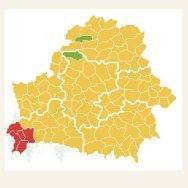 Ограничения на посещение лесов введены во всех районах Могилевской области