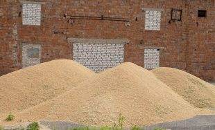 В Чаусах руководитель фермы продал почти 8 тонн кормов, а в документах написал, что их съели сельхозживотные