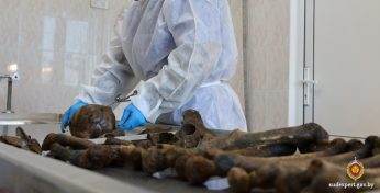 Стали известны новые данные о количестве убитых фашистами могилевчан в Казимировском лесу