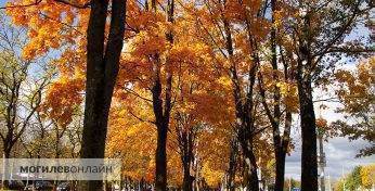 Синоптик Дмитрий Рябов дал прогноз погоды в Могилеве на неделю с 22 по 28 сентября