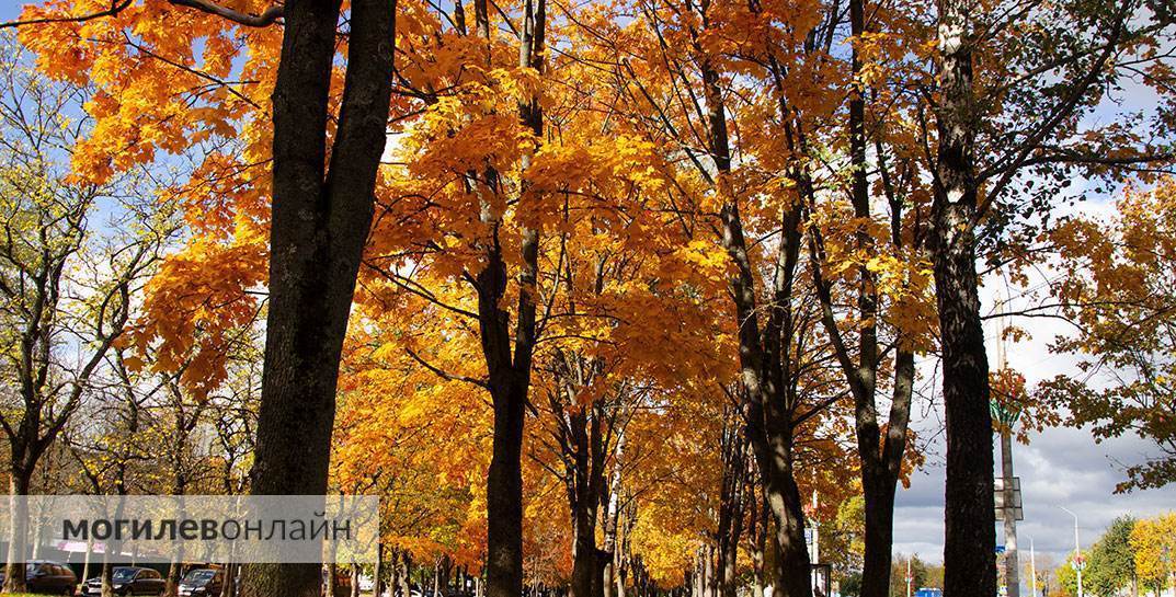 Синоптик Дмитрий Рябов дал прогноз погоды в Могилеве на неделю с 22 по 28 сентября