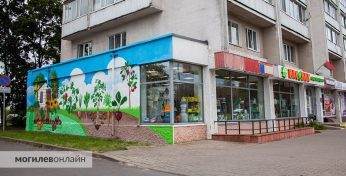 Заўважылі новае графіці ў Магілеве? Так пакрэатыўнічала крама тавараў для саду