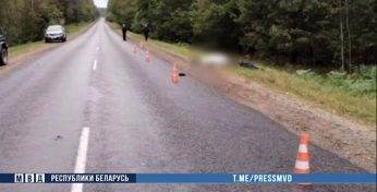 В Могилевском районе водитель грузовика насмерть сбил велосипедиста и уехал с места аварии — его нашли