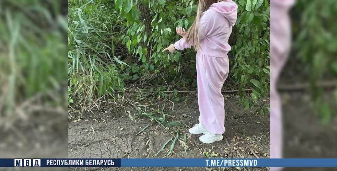 На Могилевщине задержали наркозакладчицу с крупной партией психотропов