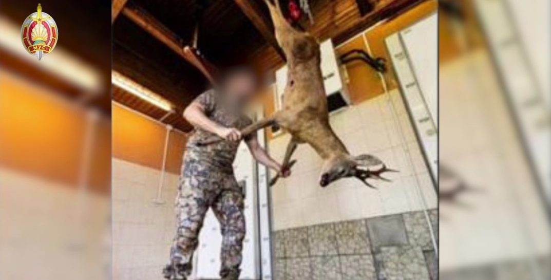В Беларуси со спецназом задержали «туроператора», который устраивал «сафари» для иностранцев в лесах Могилевской области