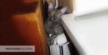 Когда в Беларуси начнут включать отопление?