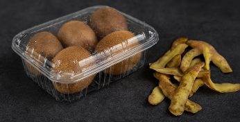 Школьник из Бобруйска сделал съедобную упаковку из картофельных очистков и суперпрочную целлюлозу из помидорных листьев