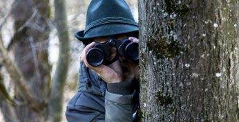 Во Франции частные детективы все чаще следят за работниками, ушедшими на больничный