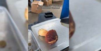 «Зато супчик будет приятно пахнуть» — Цена одного боровика с Комаровки шокировала белорусов в TikTok