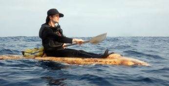 Американский художник пересек океан на каяке из… грибов