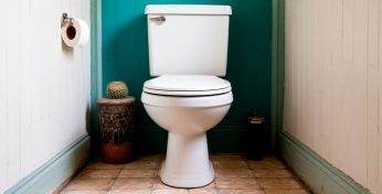 Оказывается, что привычка листать ленту соцсетей в туалете практически вдвое увеличивает риск развития геморроя