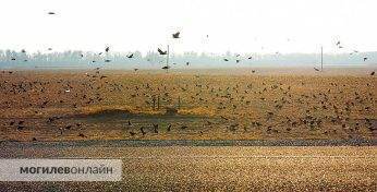 Синоптик Дмитрий Рябов дал прогноз погоды в Могилеве на неделю с 15 по 21 сентября