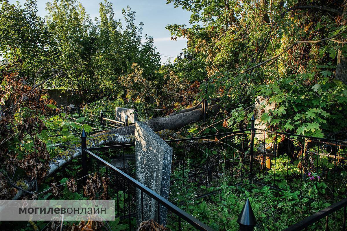 Еврейское, но не совсем: вспоминаем историю старого кладбища на Ольчинской в Могилеве
