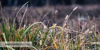 Оранжевый уровень опасности объявлен на Могилевщине из-за ночных заморозков